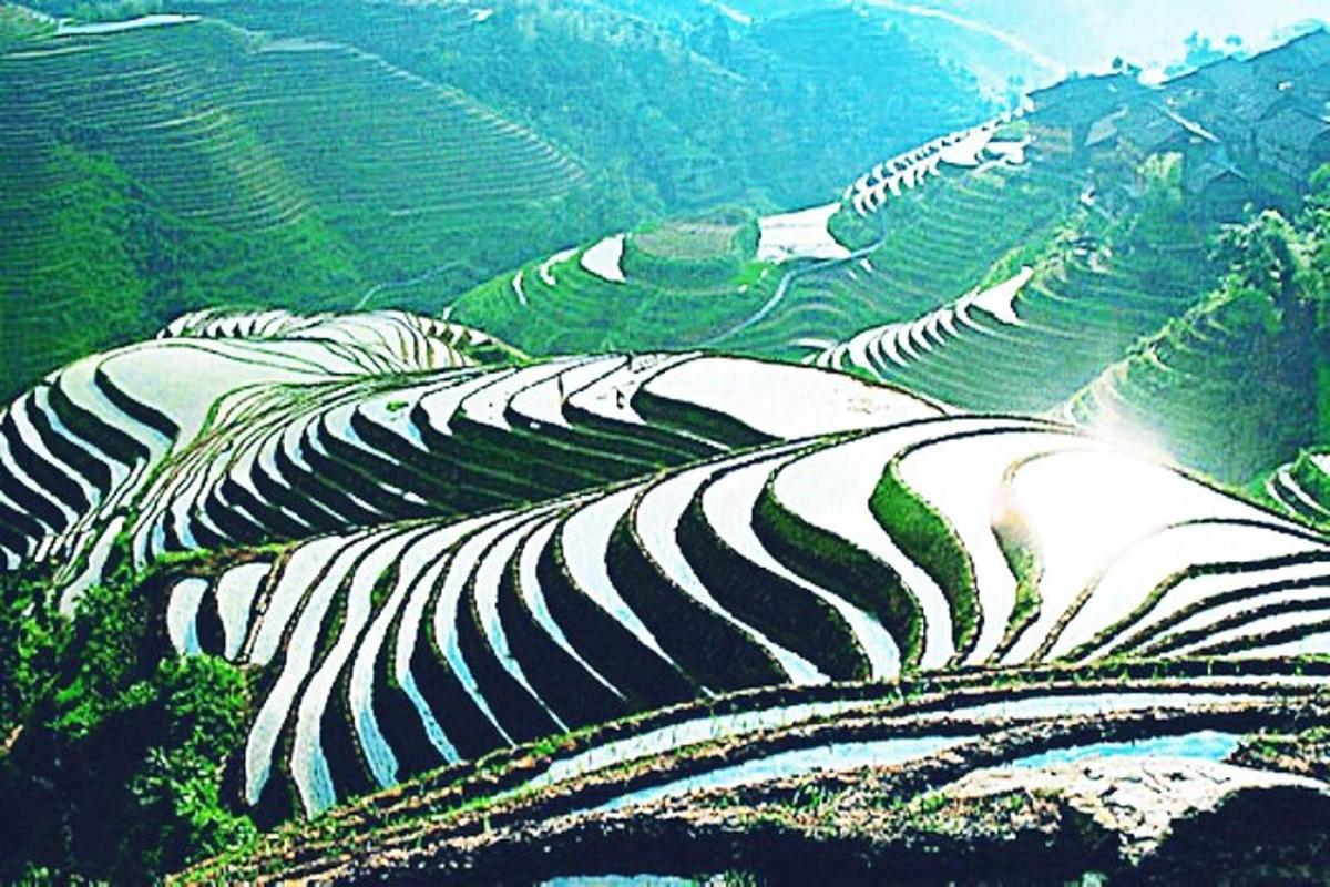 山上的一组梯田