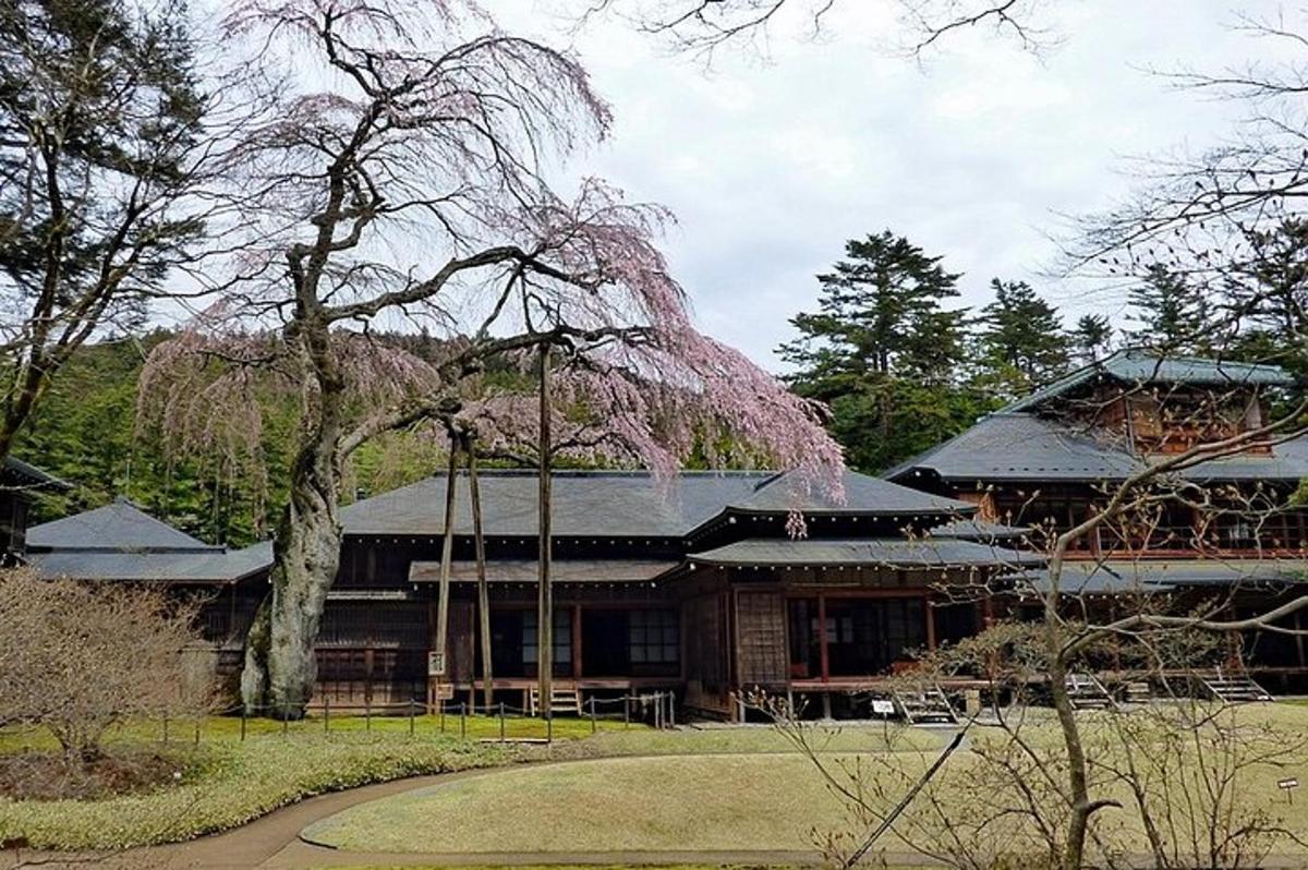 una grande casa con un albero di fronte