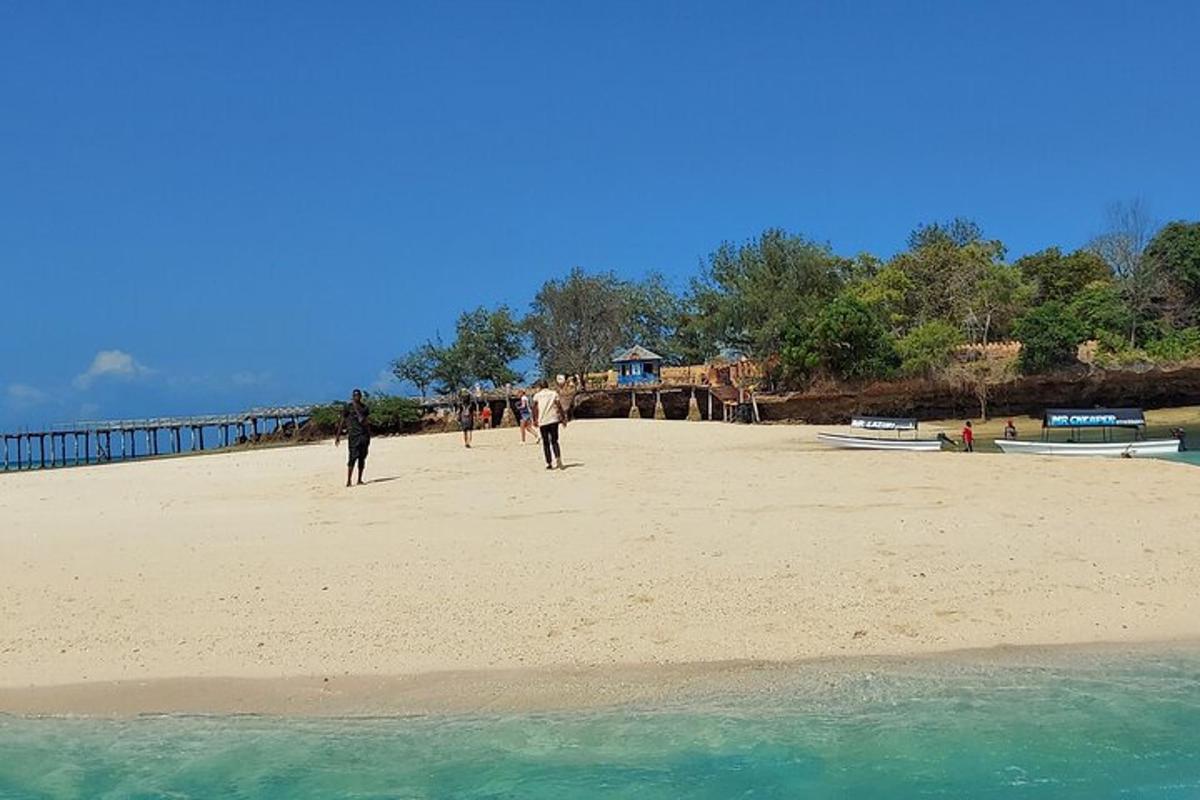 a group of people walking on the beach