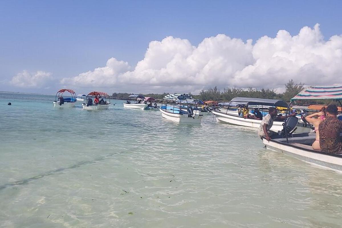 група човнів у воді на пляжі