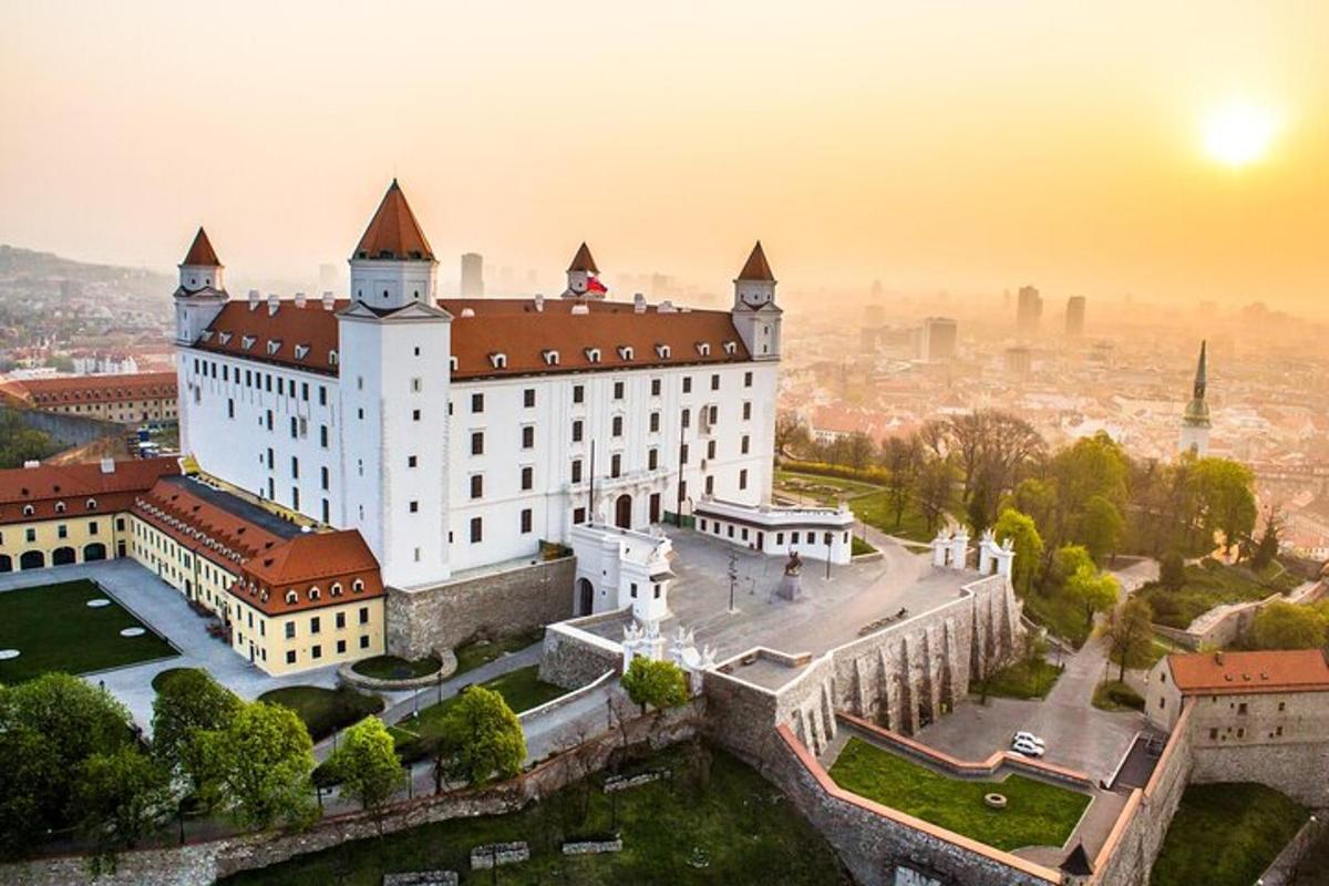 una vista aerea di un castello con una città sullo sfondo