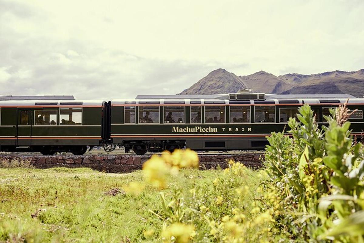 un tren sobre les vies amb muntanyes al fons