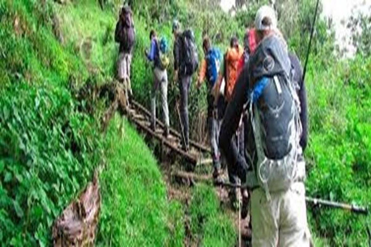 a group of people walking over a bridge on a trail