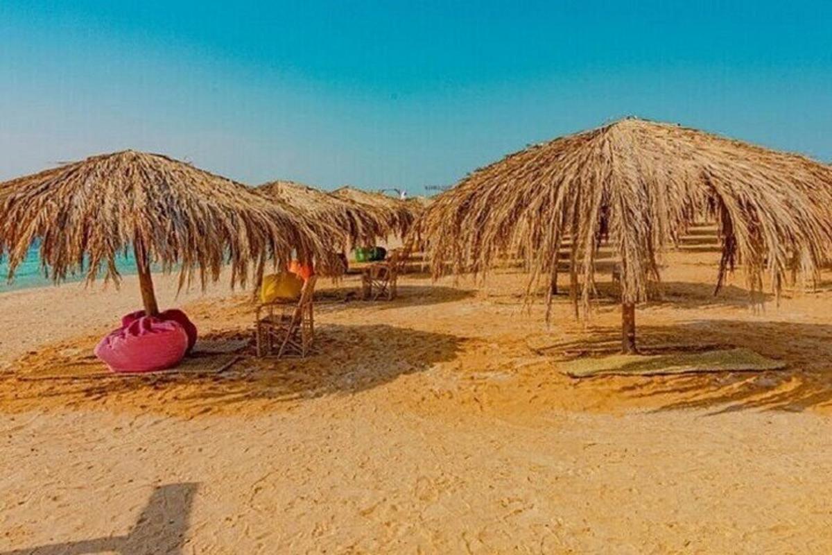 un gruppo di ombrelloni di paglia su una spiaggia