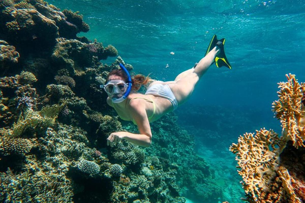 uma mulher nadando na água perto de um recife de coral