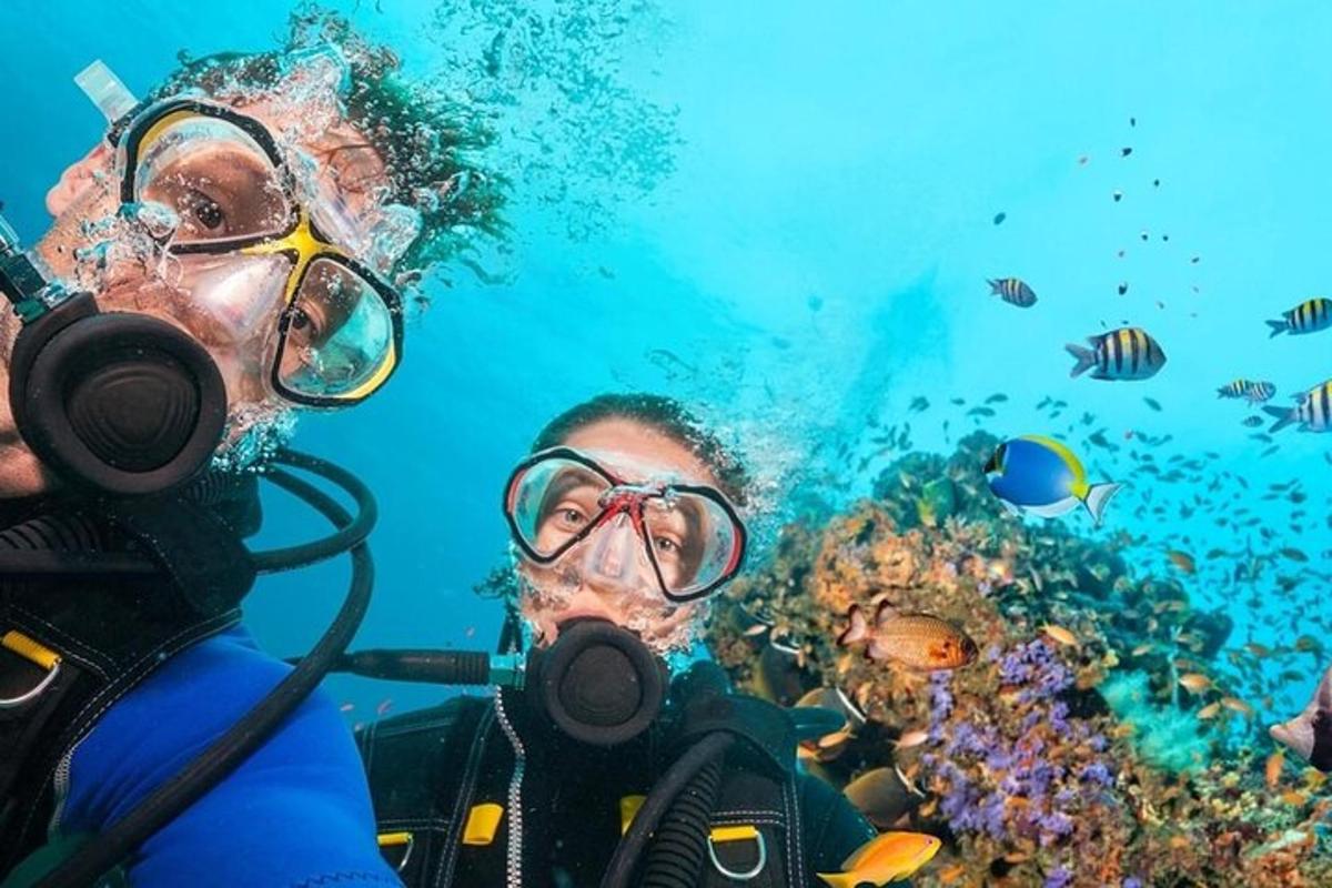 eine Gruppe von Menschen im Wasser mit Tauchausrüstung
