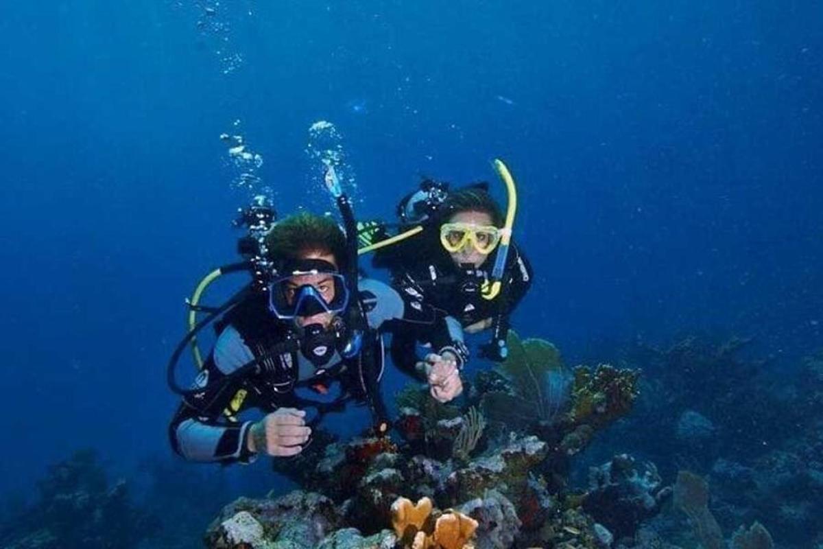 duas pessoas com equipamento de mergulho em um recife de coral