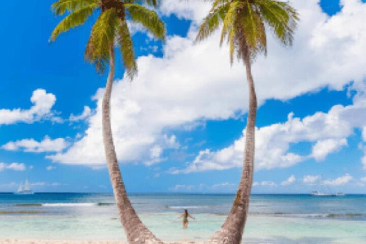 two palm trees on a beach with a person in the water