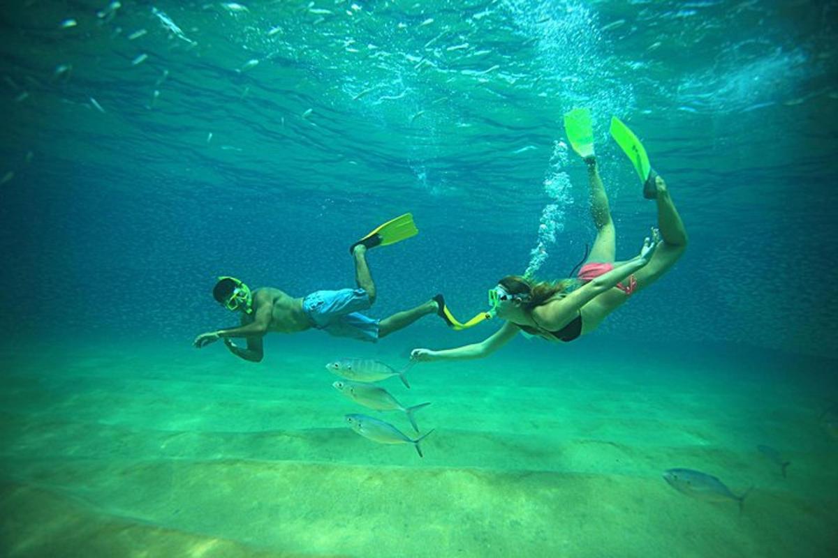 dua orang berenang di dalam air dengan sirip