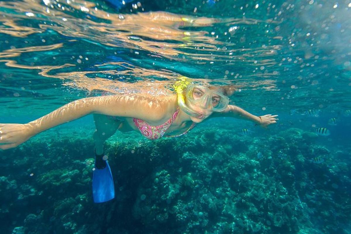 seorang wanita berenang di dalam air dengan botol