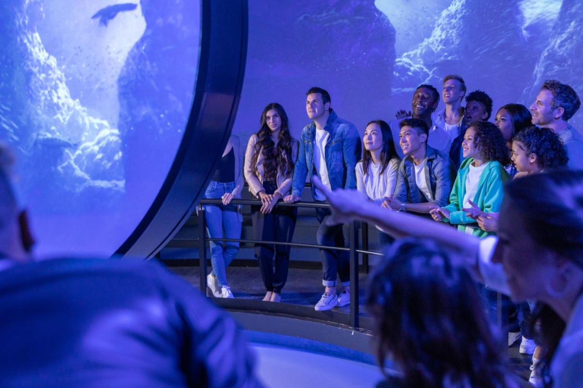 水族館の前に立っている人々のグループ