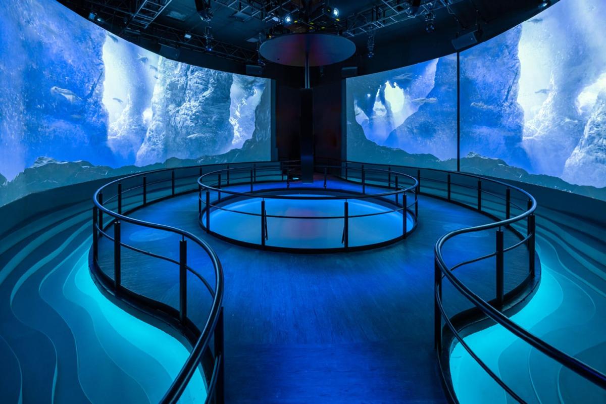 青いライトが灯った大きな水族館の眺め