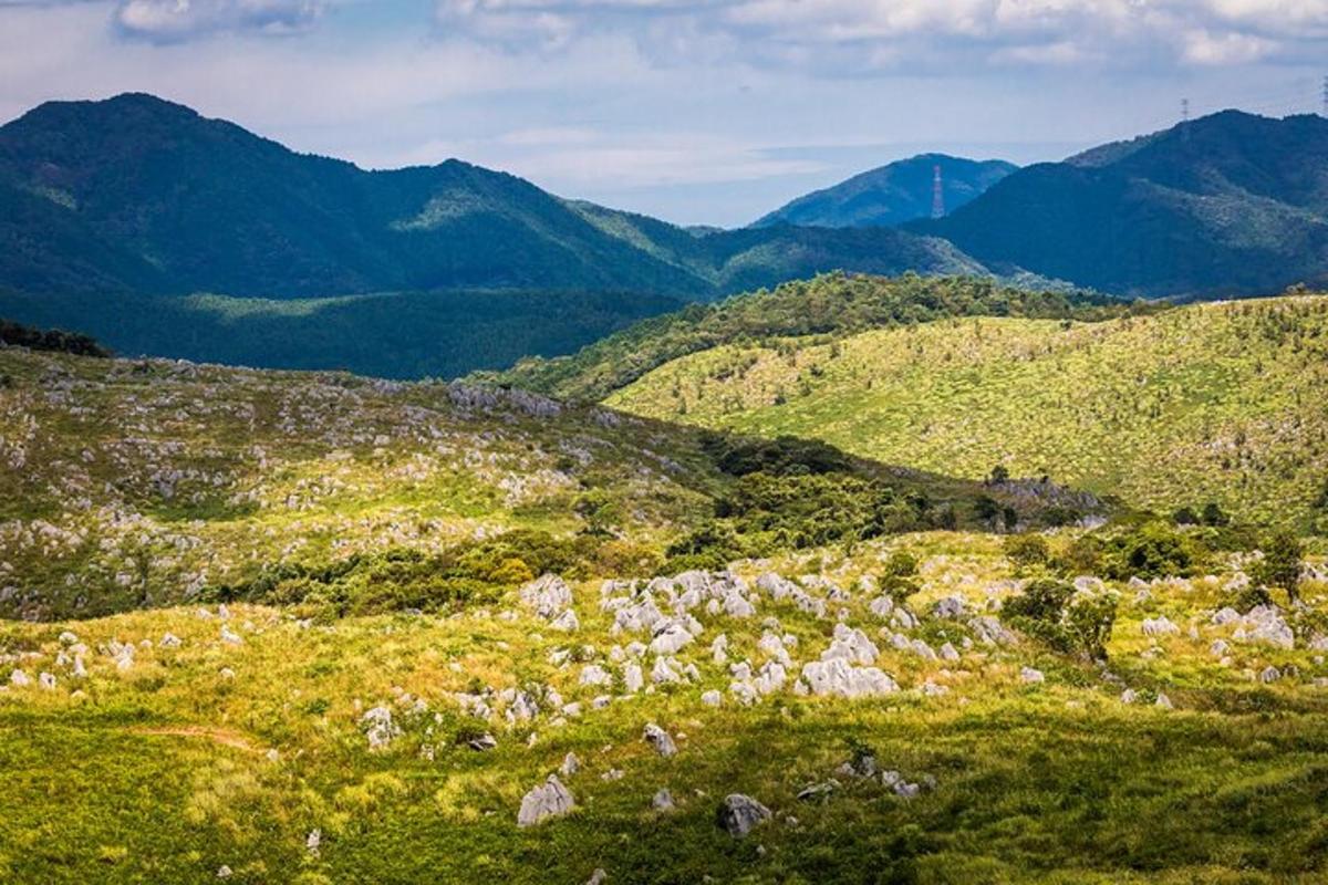 a grassy hill with mountains in the background