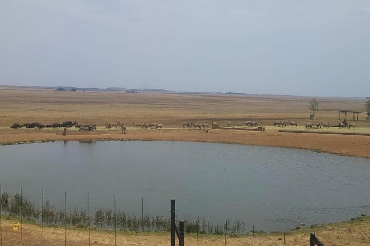 a group of animals standing around a pond in a field