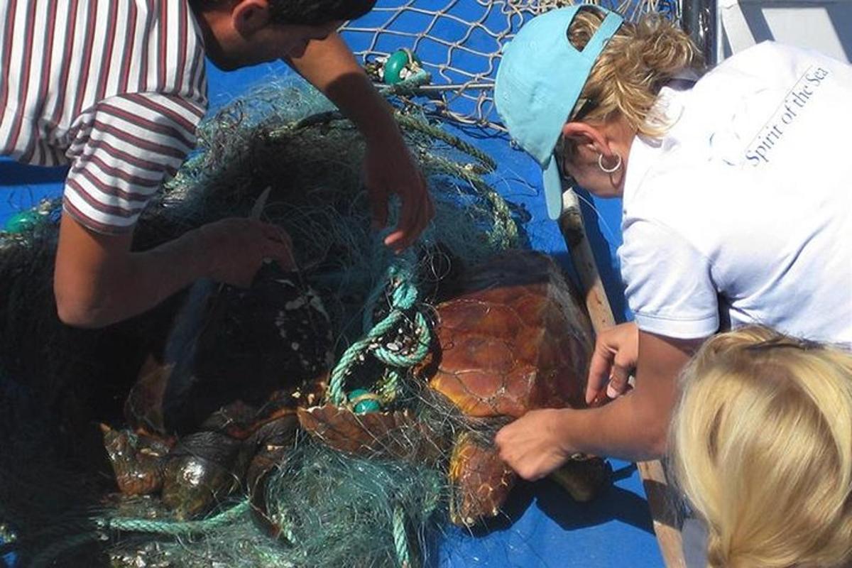 un gruppo di persone che lavorano su una rete da pesca