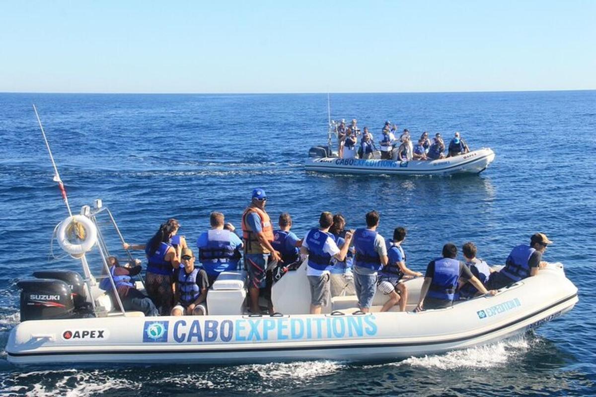 un gruppo di persone su una barca in acqua