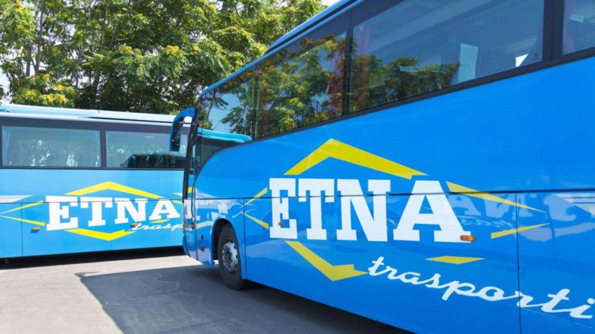 синій автобус припаркований поруч з іншим автобусом