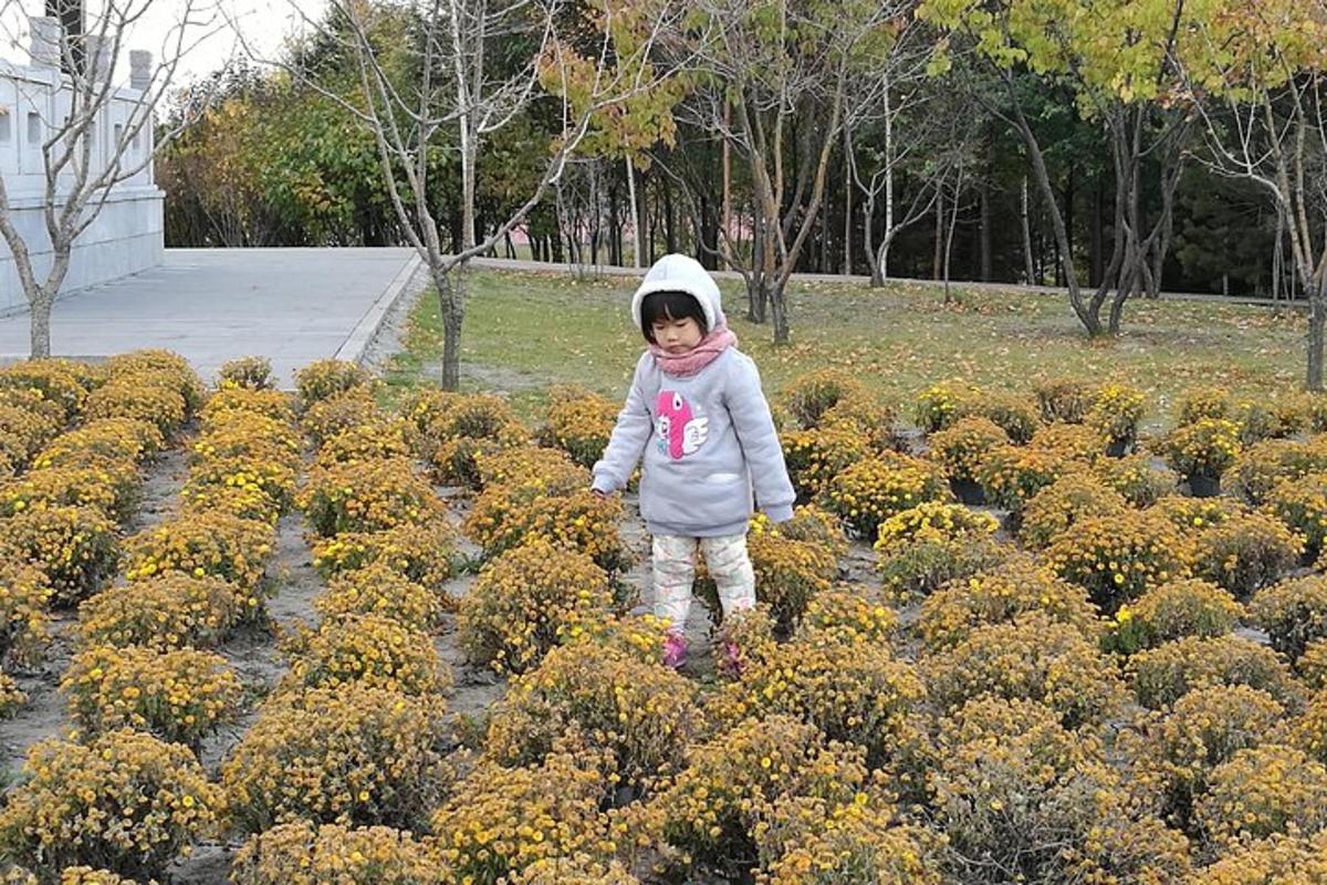 a little girl standing in a field of flowers