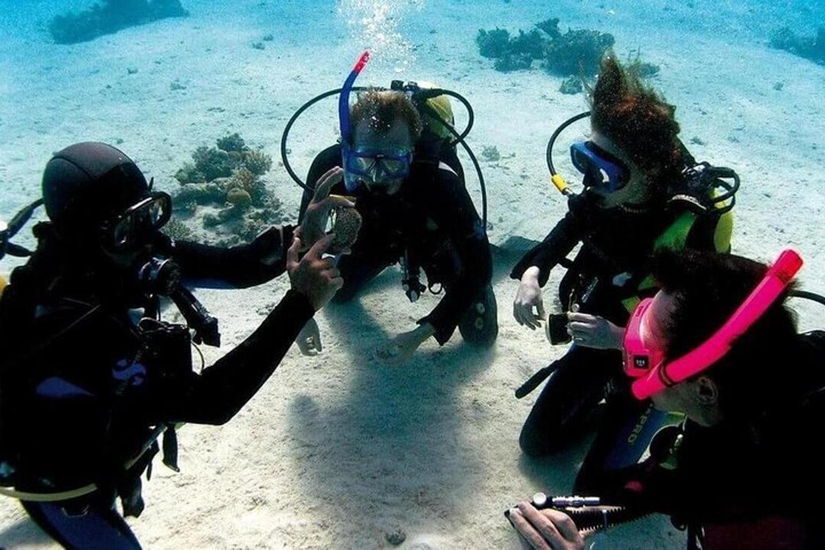 Un grupo de personas tomando fotografías de un buceador en el agua.