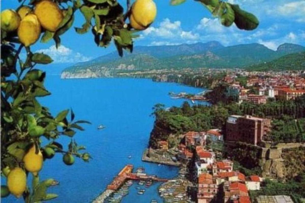 θέα σε ένα μεγάλο υδάτινο σώμα με μια πόλη