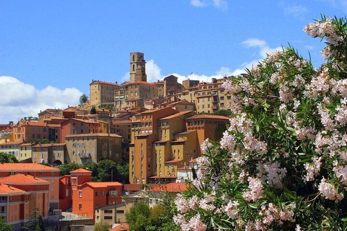 una città in cima a una collina con fiori rosa