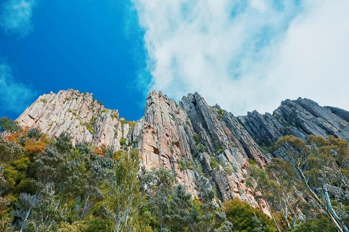 一座岩石山，山前有树