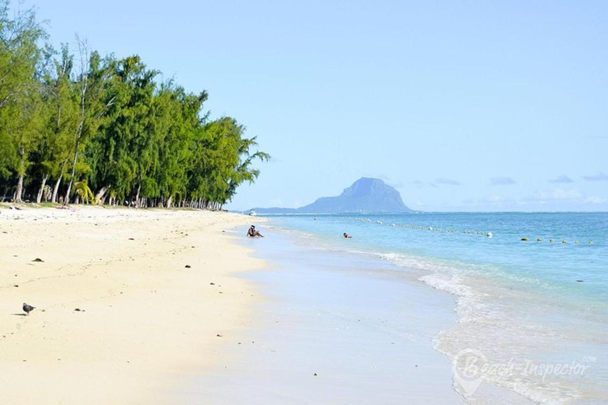 uma praia de areia com árvores e o oceano