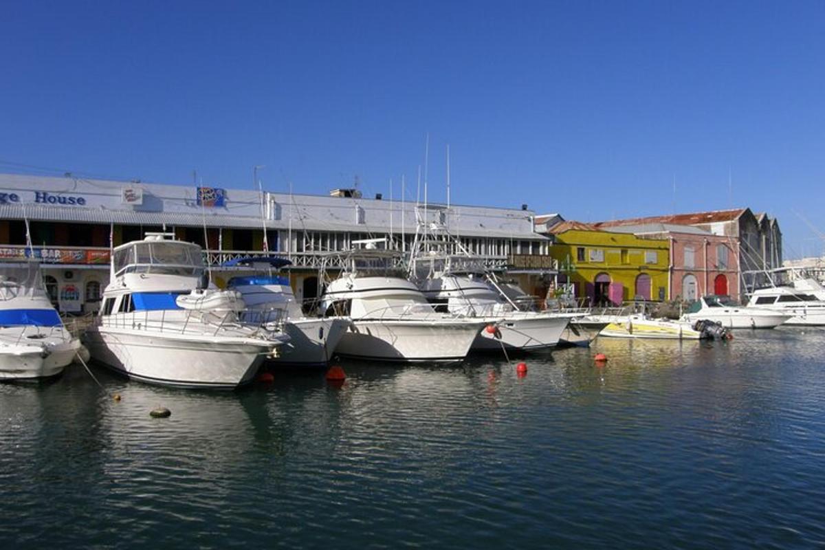 a group of boats are docked in a marina