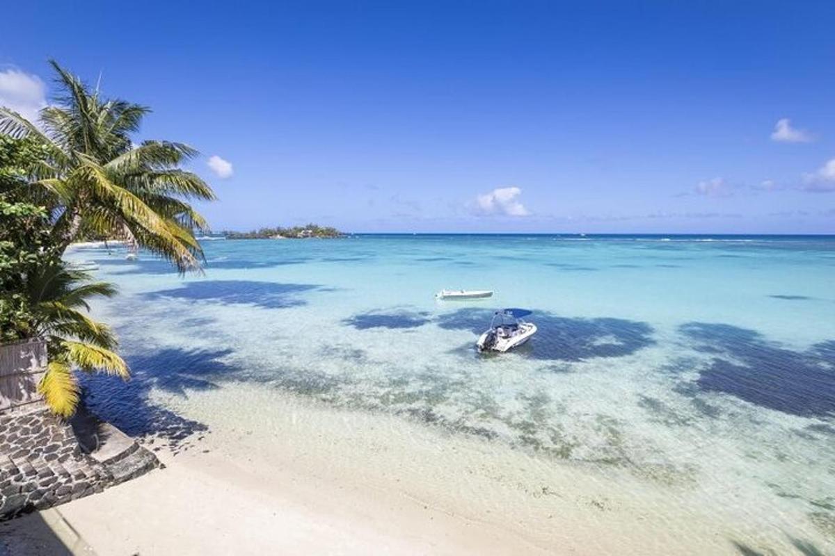 un vaixell a l'oceà al costat d'una palmera