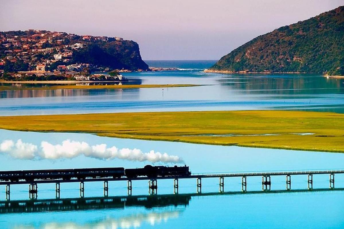 a train crossing a bridge over a body of water