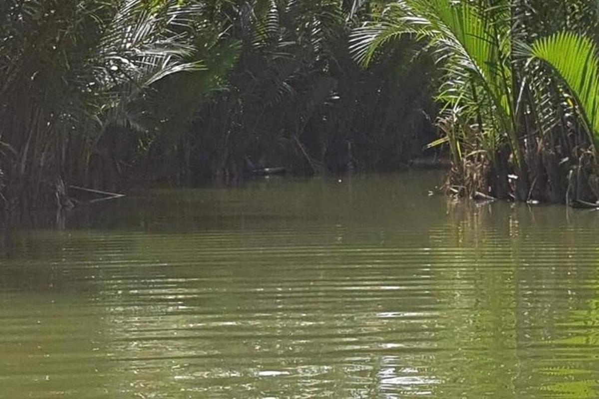 uno specchio d'acqua con palme sullo sfondo