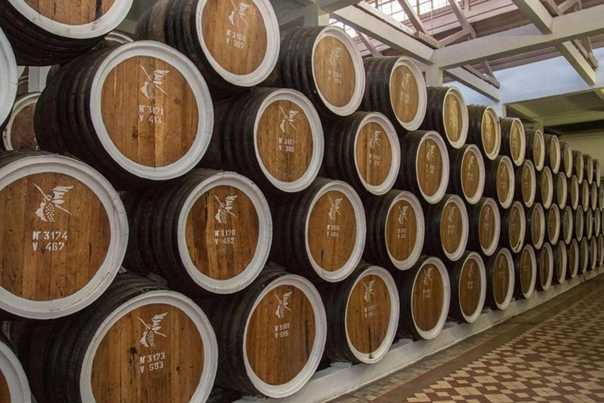 a bunch of wine barrels stacked on a wall
