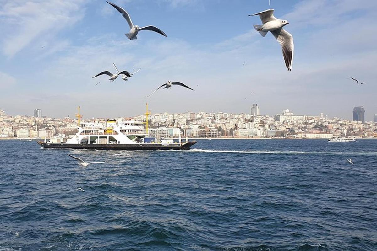 a flock of birds flying over the water with a boat
