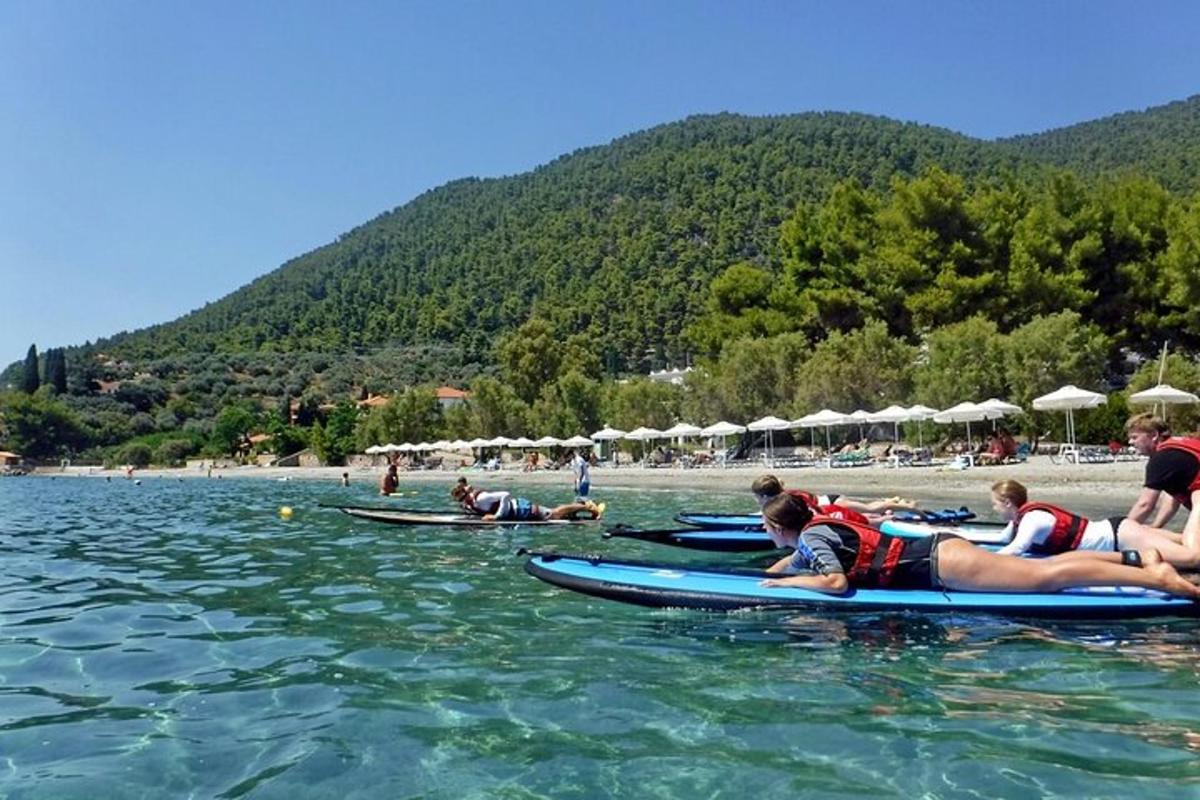 un grup de persones en caiacs a l'aigua d'una platja