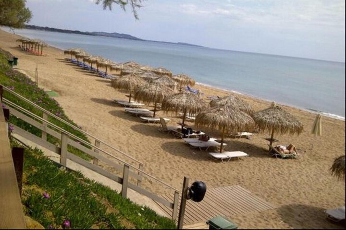 pláž s lehátky a slaměnými slunečníky a oceán