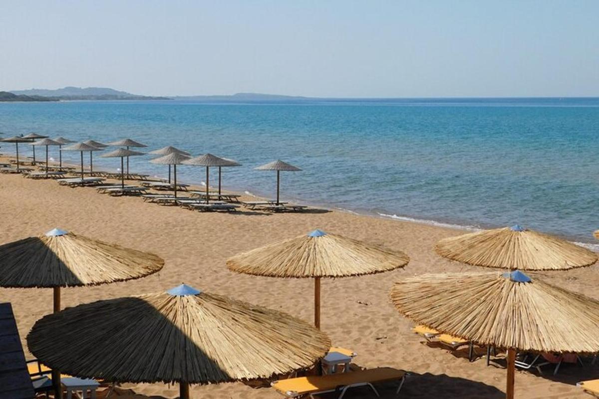 una spiaggia con molti ombrelloni di paglia e l'oceano
