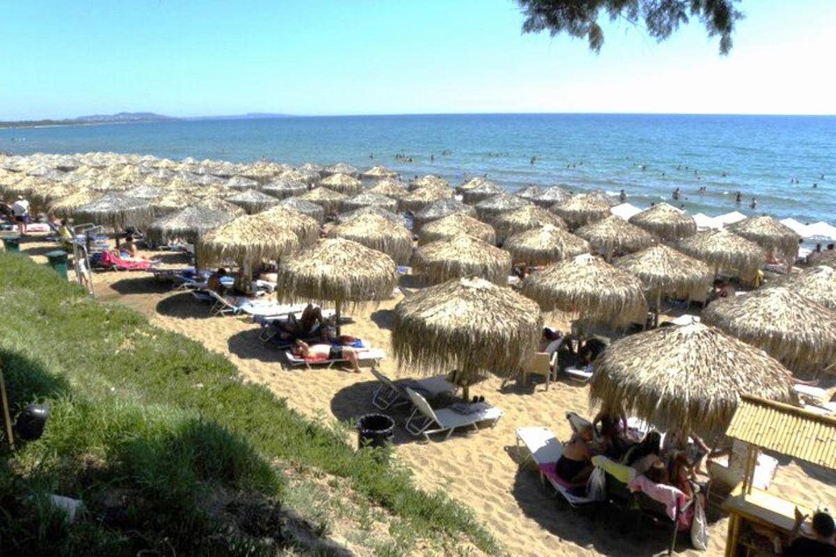 un gran grup de para-sols de palla a la platja