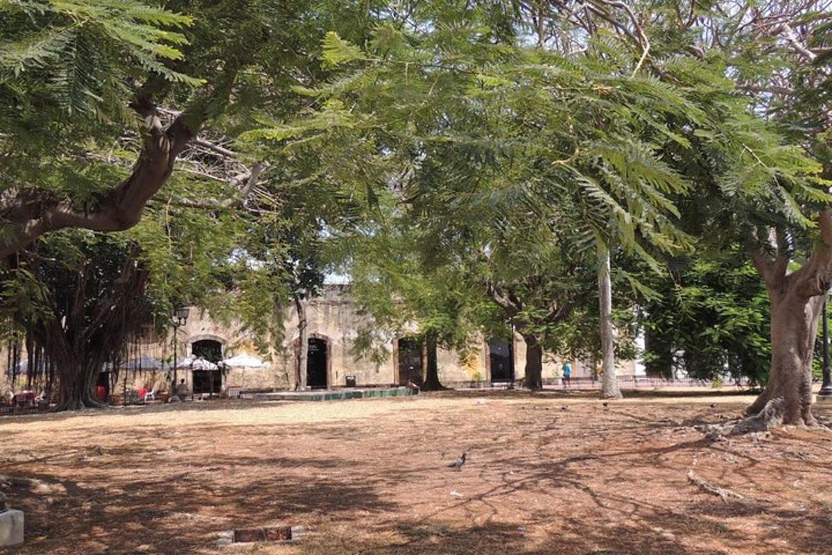 egy park fákkal egy épület előtt