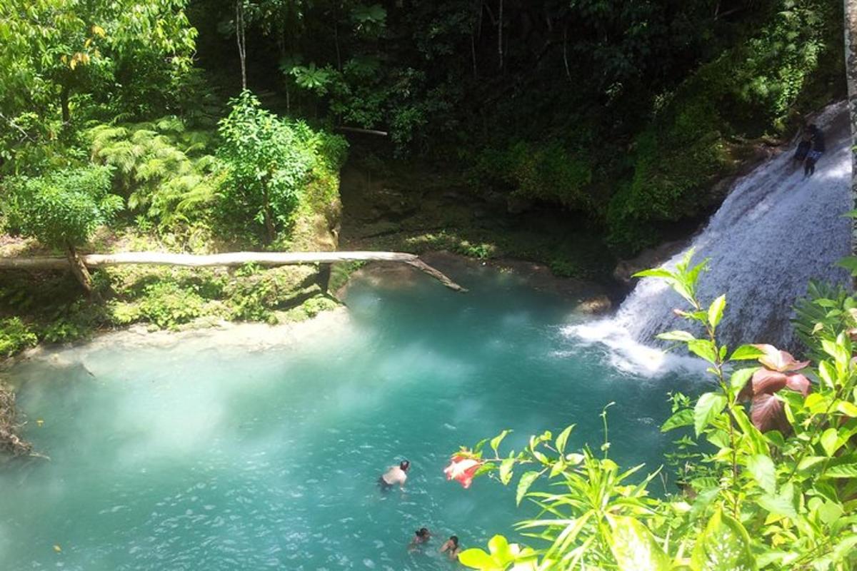 un gruppo di persone che nuotano in un fiume
