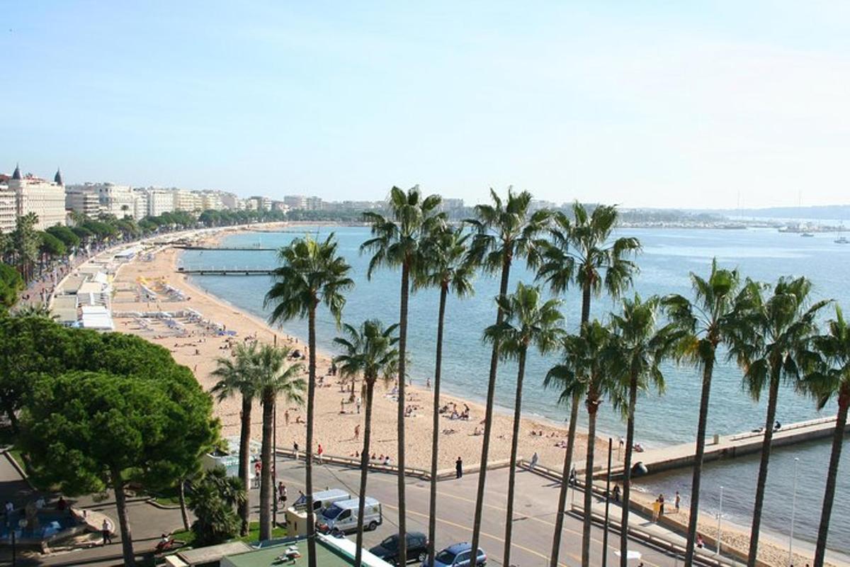 una vista di una spiaggia con palme e l'oceano