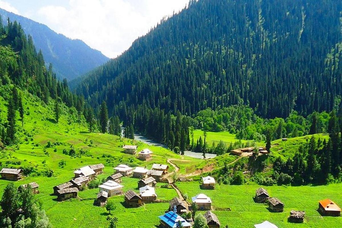 a green hillside with a group of houses in a field