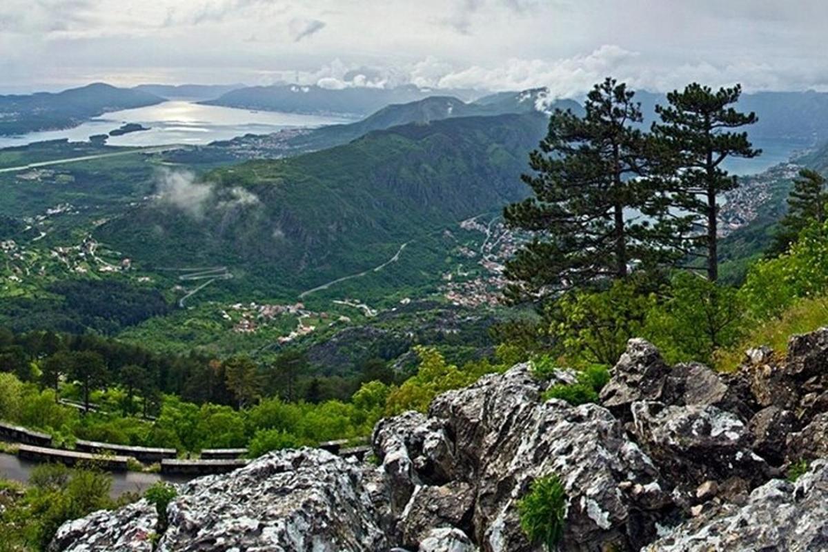 útsýni yfir fjall með tré á toppnum