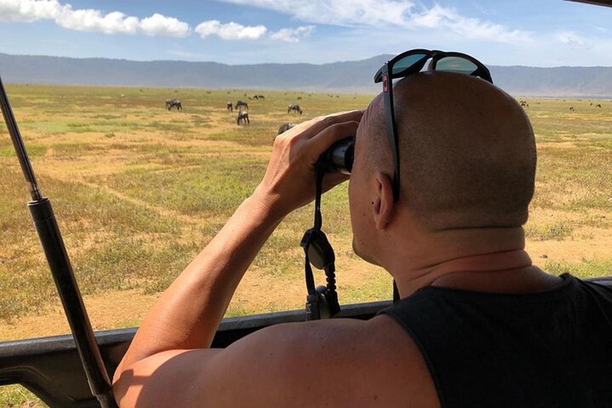 un bărbat care vorbește la telefonul mobil și privește afară dintr-un safari