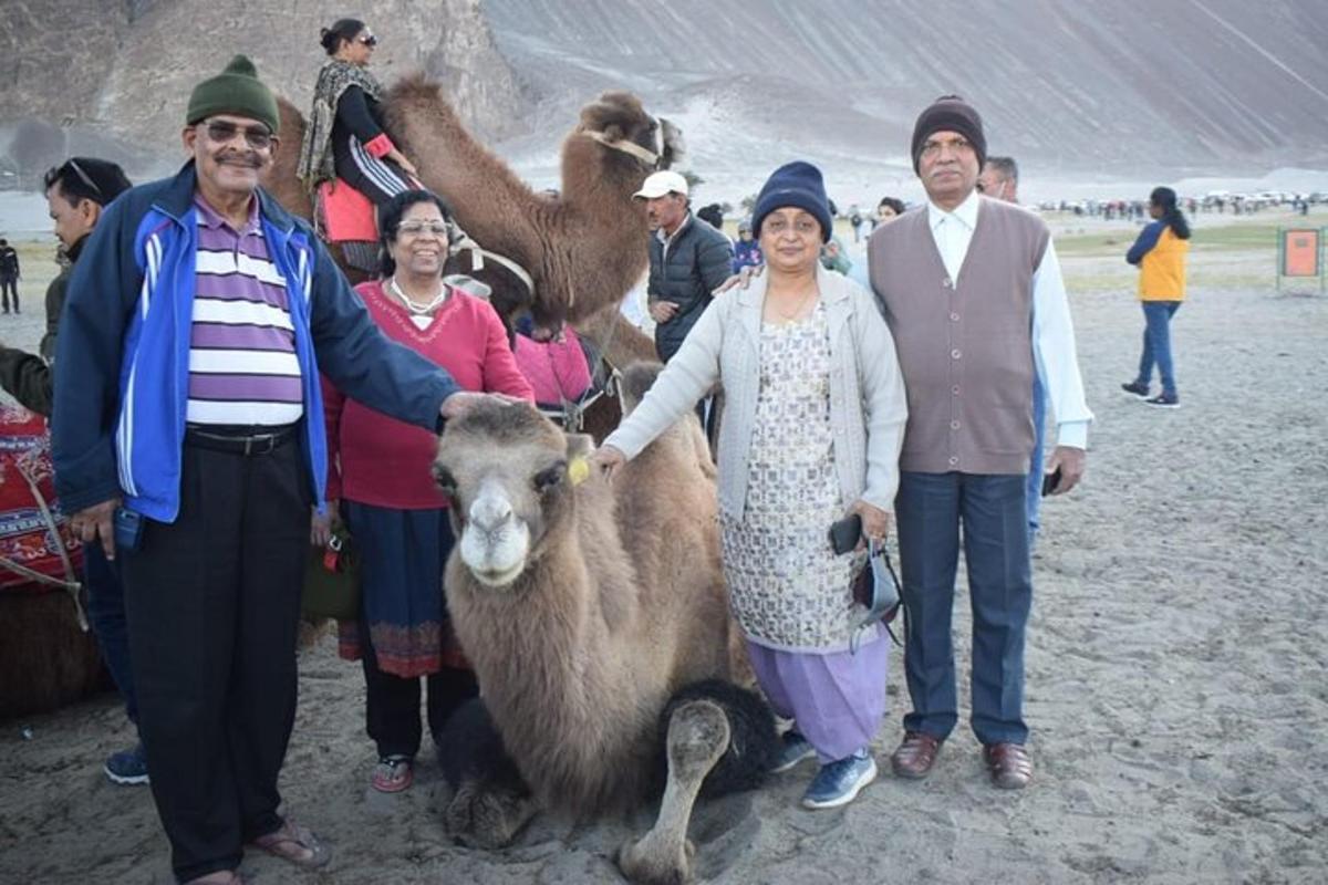 a group of people standing next to a group of camels