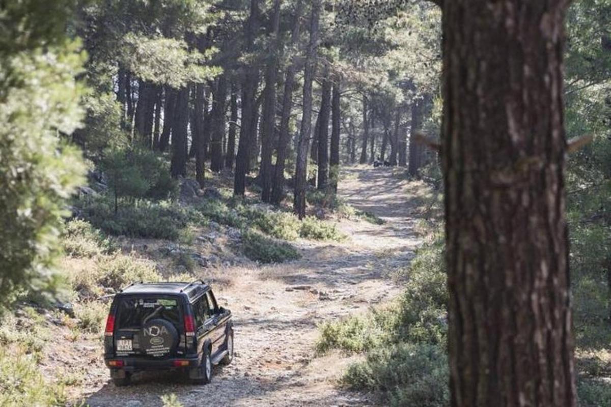 una jeep parcheggiata su una strada sterrata in una foresta