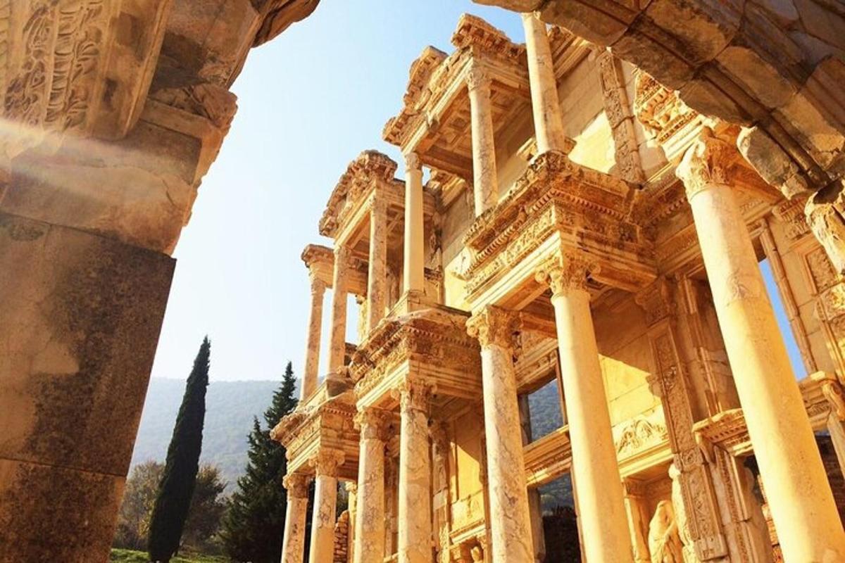 un edificio con colonne e un albero sullo sfondo