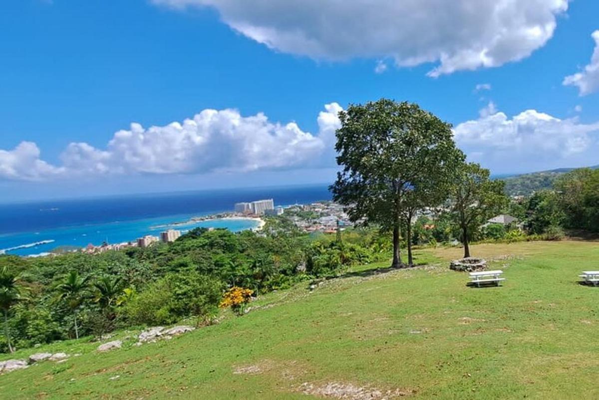 egy park egy paddal egy dombon, kilátással az óceánra