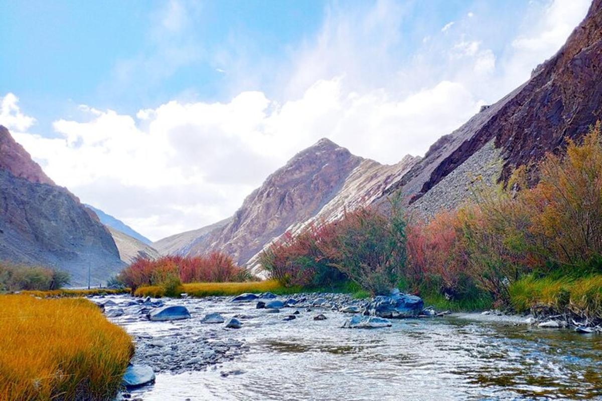 um rio nas montanhas com árvores e pedras