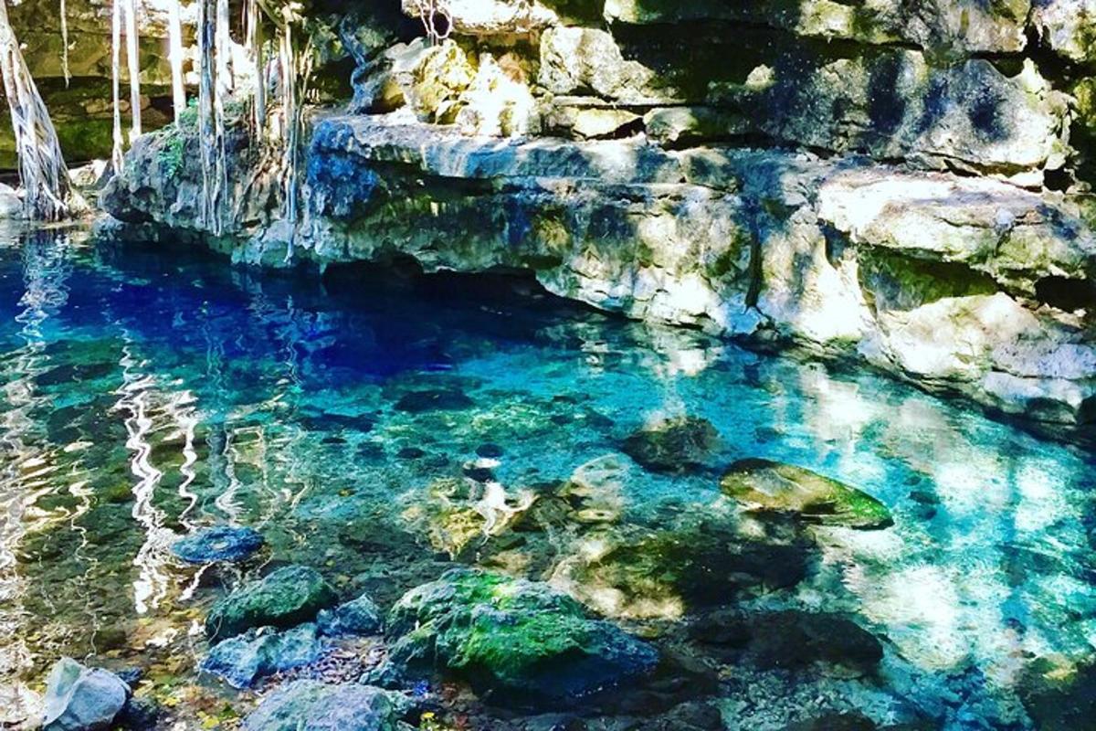 a pool of blue water with rocks and seaweeds