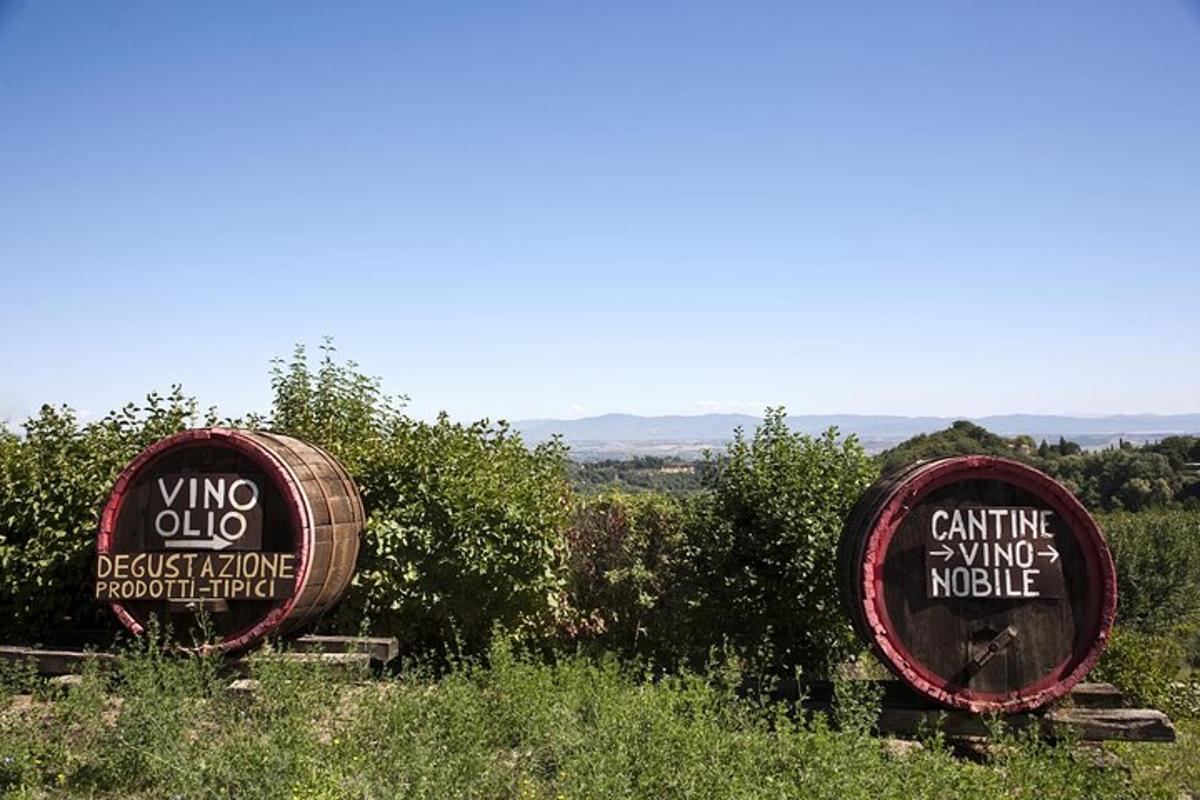due cartelli per una cantina vinicola in un campo